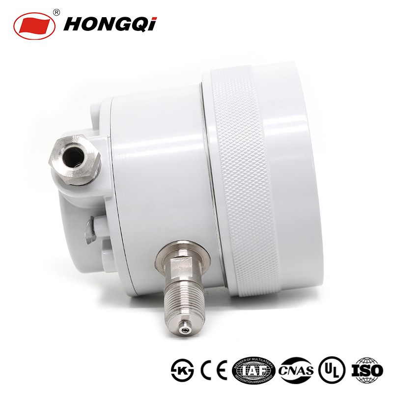 Explosion-proof Electric Contact Pressure Gauge