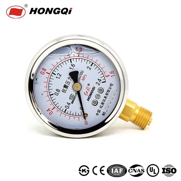 Hongqi Stainless Steel Case Shockproof Pressure Gauge