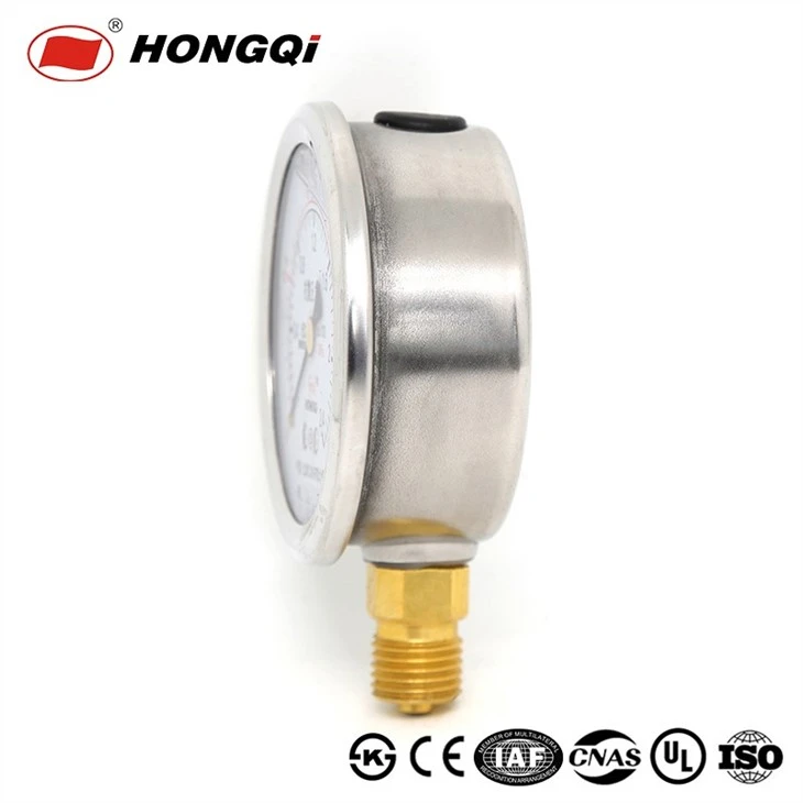 Hongqi Stainless Steel Case Shockproof Pressure Gauge